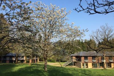 Location salle Silfiac (Morbihan) - Le Manoir d'Alexandre #21