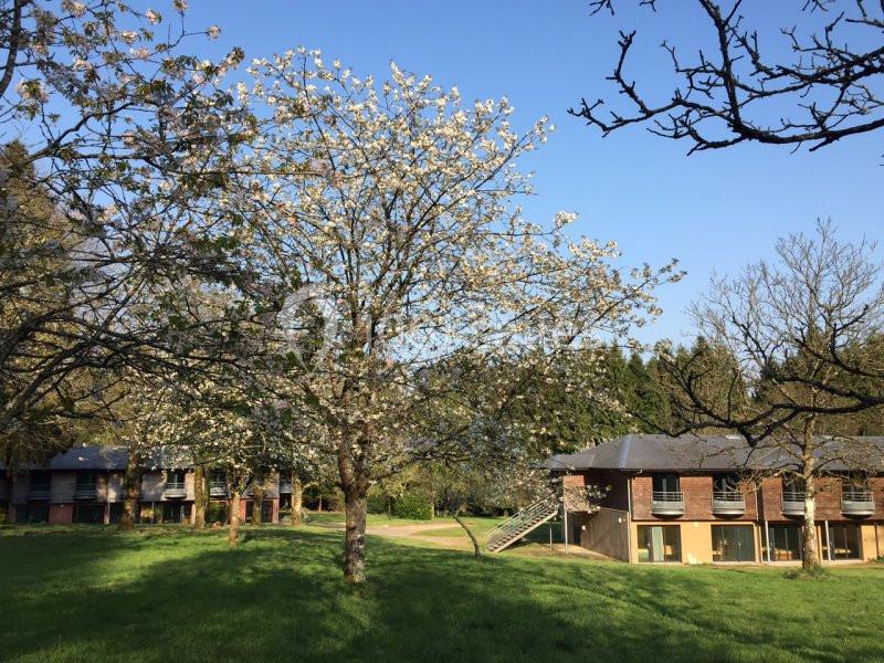 Location salle Silfiac (Morbihan) - Le Manoir d'Alexandre #18