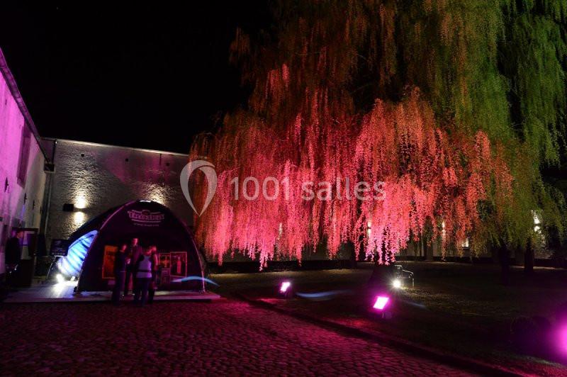 Arbre illuminé de lumières roses près d'une structure gonflable noire dans une cour pavée, de nuit.