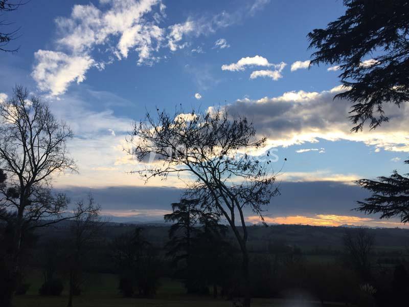 Location salle Montoussin (Haute-Garonne) - Domaine De Montoussin #8