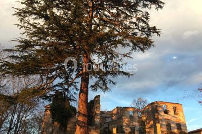 Location salle Montoussin (Haute-Garonne) - Domaine De Montoussin #15