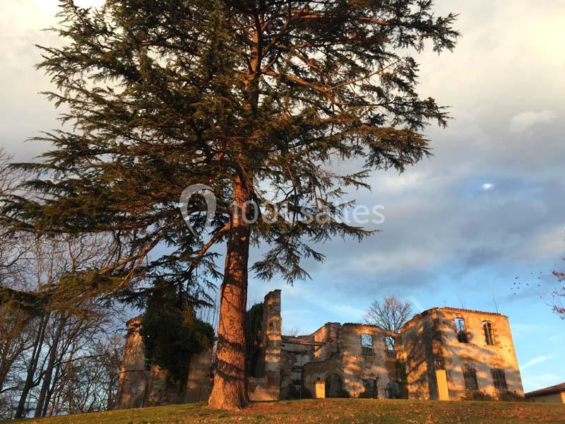 Location salle Montoussin (Haute-Garonne) - Domaine De Montoussin #4