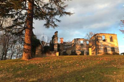 Location salle Montoussin (Haute-Garonne) - Domaine De Montoussin #15