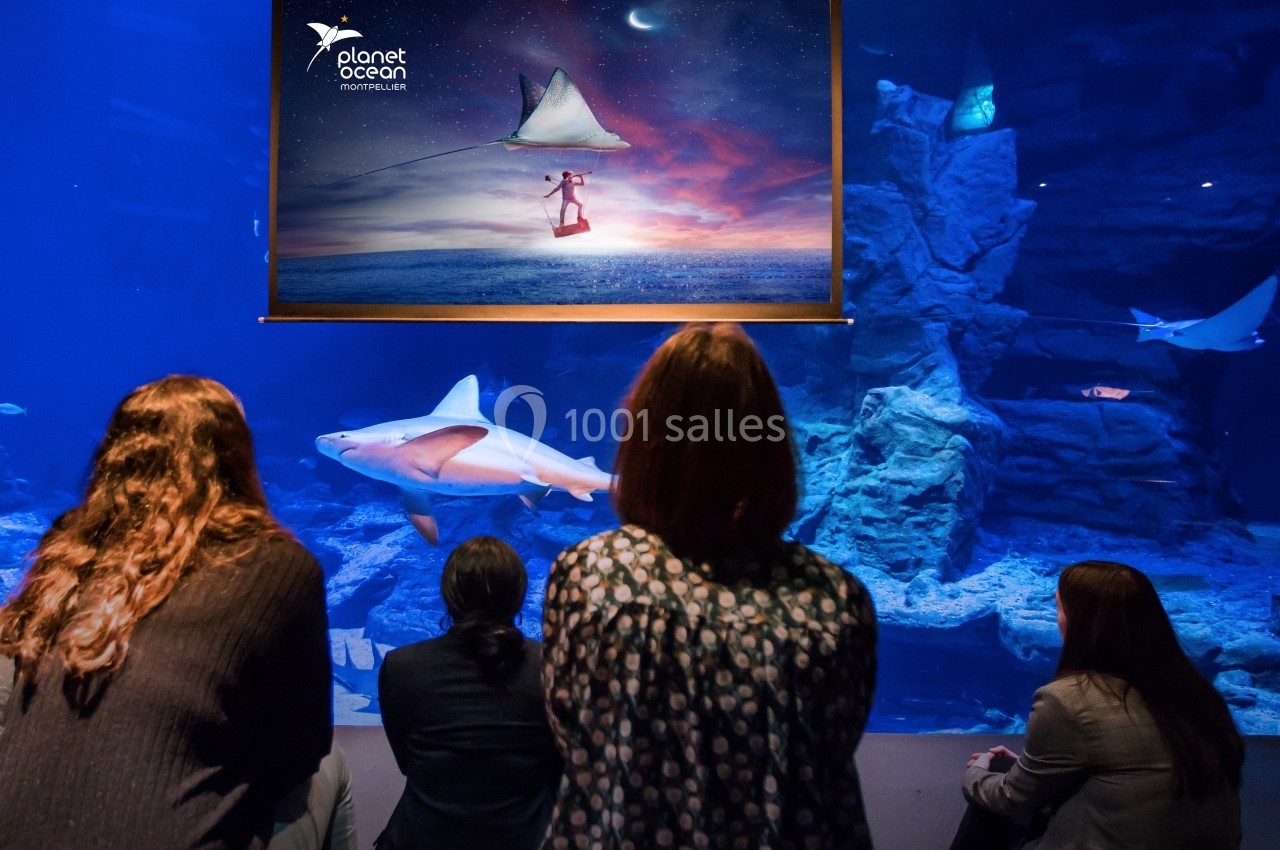 Location salle Montpellier (Hérault) - Planet Ocean Montpellier #6 Des visiteurs observent un aquarium avec des requins, sous une affiche lumineuse représentant un enfant volant avec un cerf…