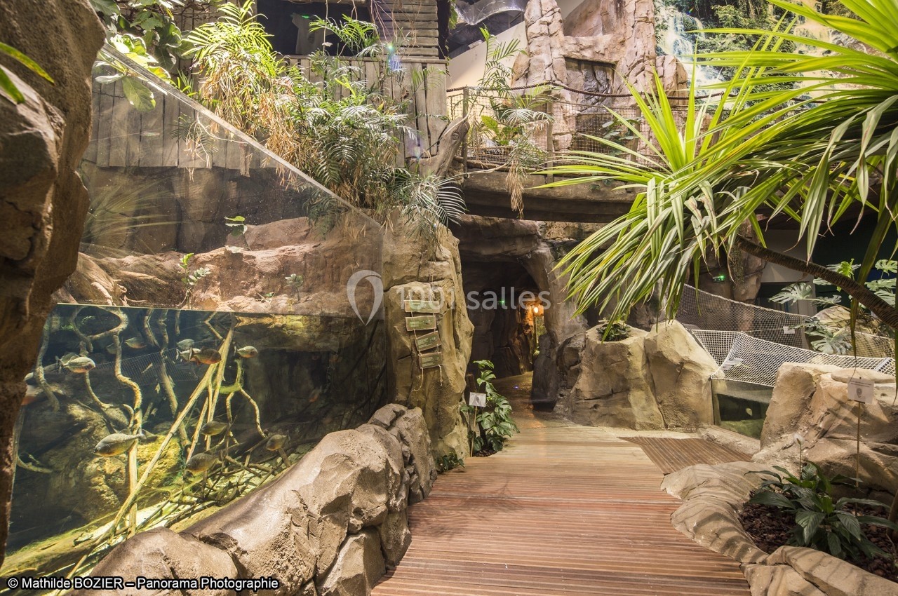 Passage intérieur avec végétation tropicale, parois rocheuses, aquarium et chemin en bois.