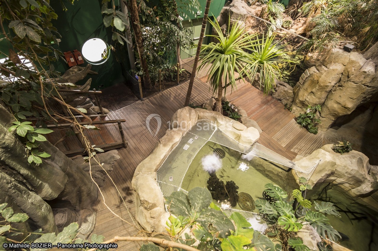 Vue d'une serre tropicale avec un bassin central entouré de végétation luxuriante et d'un chemin en bois.