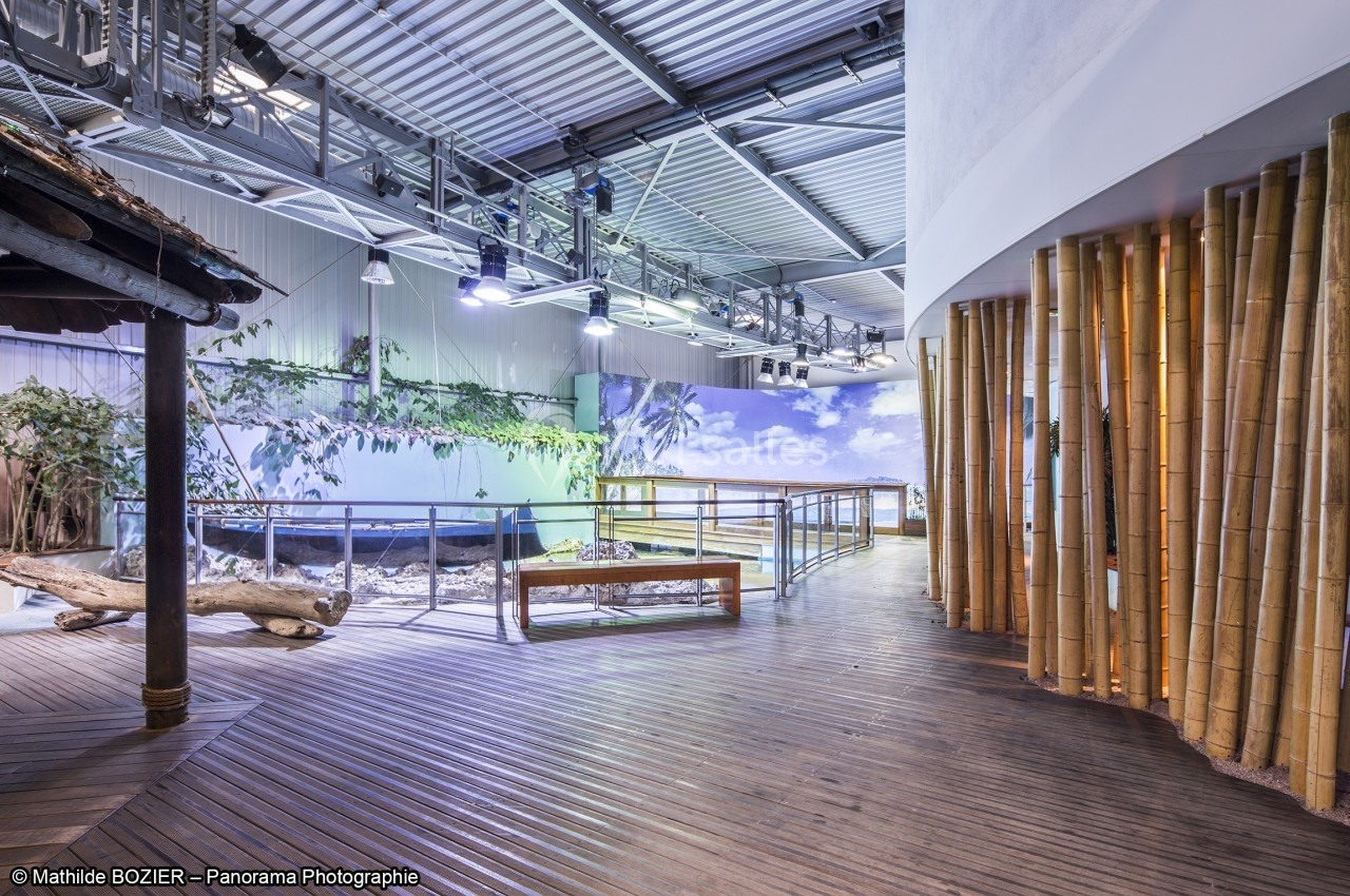 Vue intérieure d'un espace d'exposition avec passerelles en bois, végétation et décor mural tropical.