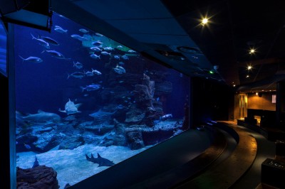 Un mannequin en combinaison d'astronaute près d'un buffet éclairé dans une salle à thème spatial.