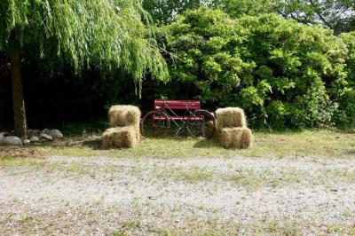 Des personnes en tenue de karaté pratiquent des exercices collectifs dans une salle aux murs en pierre et parquet en bois.