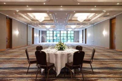 Location salle Strasbourg (Bas-Rhin) - Hilton Strasbourg #8
