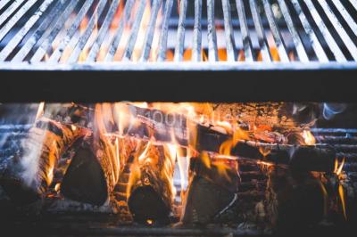 Location salle Moirans (Isère) - Espace Séminaires Grill De Moirans #18