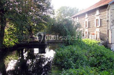 Chambre lumineuse avec murs jaunes, deux lits simples, décorations florales et une peluche sur un lit.