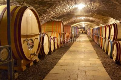 Location salle Chassagne-Montrachet (Côte-d'Or) - Château De Chassagne - Montrachet #20