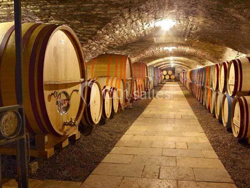 Location salle Chassagne-Montrachet (Côte-d'Or) - Château De Chassagne - Montrachet #11