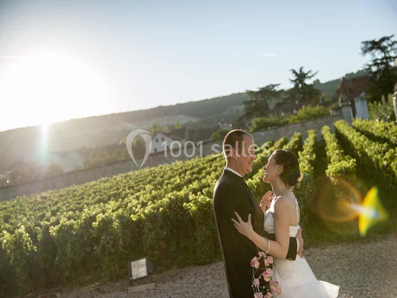 Location salle Chassagne-Montrachet (Côte-d'Or) - Château De Chassagne - Montrachet #6