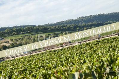 Location salle Chassagne-Montrachet (Côte-d'Or) - Château De Chassagne - Montrachet #20