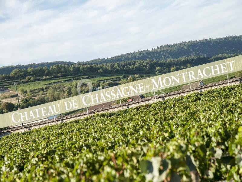 Location salle Chassagne-Montrachet (Côte-d'Or) - Château De Chassagne - Montrachet #2