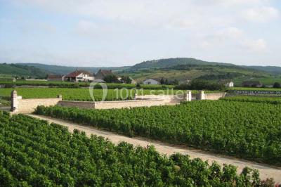 Location salle Chassagne-Montrachet (Côte-d'Or) - Château De Chassagne - Montrachet #20