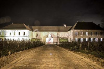 Location salle Chassagne-Montrachet (Côte-d'Or) - Château De Chassagne - Montrachet #14