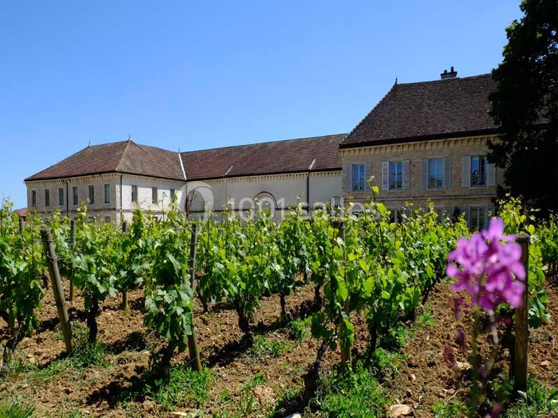 Location salle Chassagne-Montrachet (Côte-d'Or) - Château De Chassagne - Montrachet #1