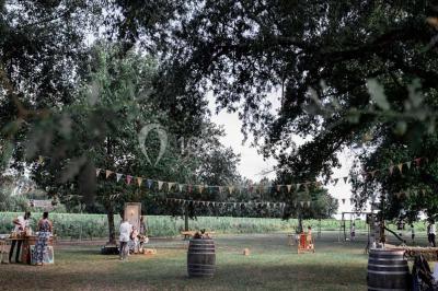 Bouteille de vin rouge dans une caisse en bois ouverte, posée contre un mur en pierre.
