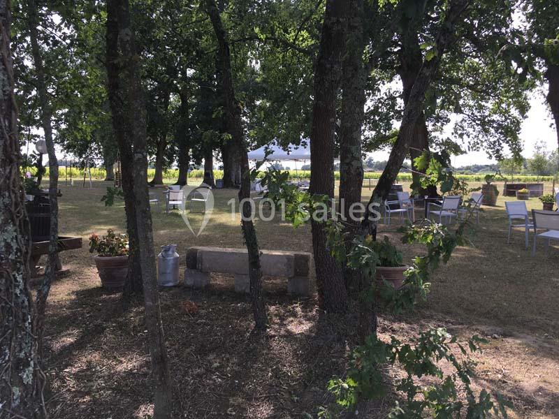 Espace extérieur ombragé avec tables et chaises disposées sous des arbres, entouré de verdure et de vignes en arrière-plan.