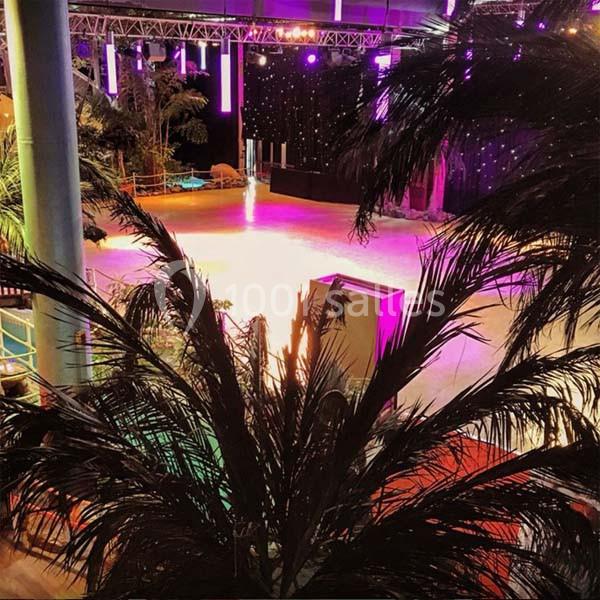 Vue d'une piste de danse illuminée par des lumières colorées, encadrée par des palmiers en intérieur.