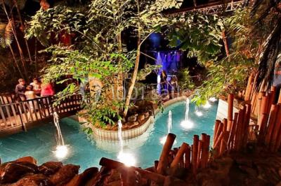 Piscine intérieure décorée de plantes tropicales, éclairée par des lumières colorées et entourée d'un pont en bois.