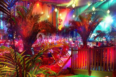 Piscine intérieure décorée de plantes tropicales, éclairée par des lumières colorées et entourée d'un pont en bois.