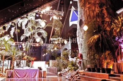 Piscine intérieure décorée de plantes tropicales, éclairée par des lumières colorées et entourée d'un pont en bois.