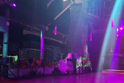 Piscine intérieure décorée de plantes tropicales, éclairée par des lumières colorées et entourée d'un pont en bois.