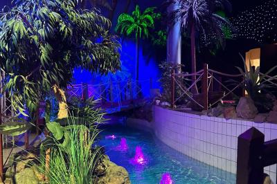 Piscine intérieure décorée de plantes tropicales, éclairée par des lumières colorées et entourée d'un pont en bois.