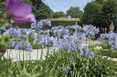 Location salle Pleurtuit (Ille-et-Vilaine) - Domaine du Montmarin #21