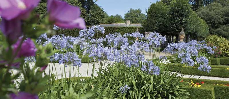 Location salle Pleurtuit (Ille-et-Vilaine) - Domaine du Montmarin #20