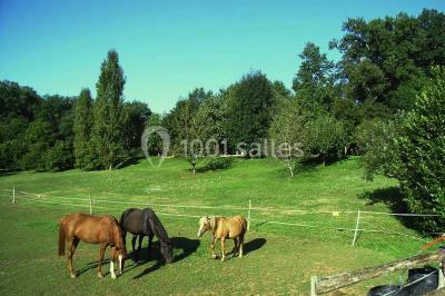 Un groupe de personnes assises en cercle en plein air, discutant près d'un tableau blanc, entouré d'arbres.