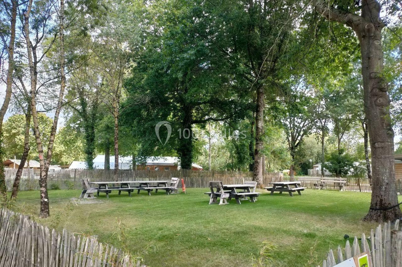 Tables de pique-nique en bois disposées sur une pelouse entourée d'arbres et de clôtures en bois.