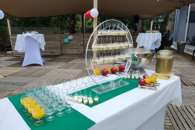 Table décorée pour un buffet avec des éléments naturels, des verrines, des fruits et des décorations en osier.