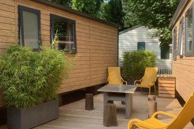Table décorée pour un buffet avec des éléments naturels, des verrines, des fruits et des décorations en osier.