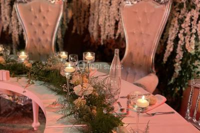 Location salle Carros (Alpes-Maritimes) - Salle Les Palmiers #15