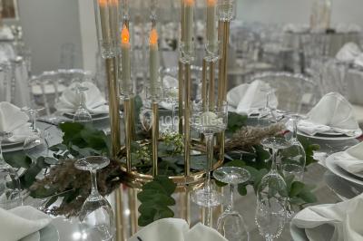 Location salle Carros (Alpes-Maritimes) - Salle Les Palmiers #15