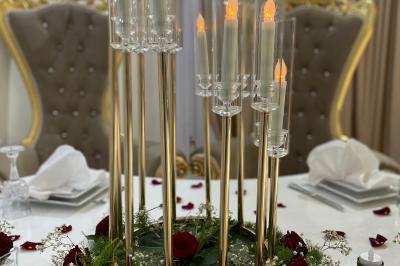 Location salle Carros (Alpes-Maritimes) - Salle Les Palmiers #15