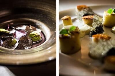 Dessert raffiné composé de fruits rouges, mousse, meringue et sorbet, présenté sur une assiette blanche.