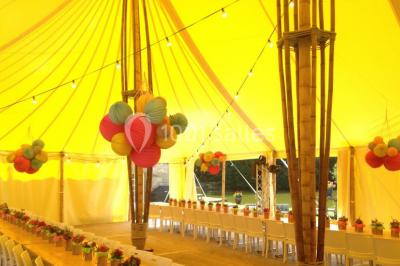 Location salle Mézières-sur-Couesnon (Ille-et-Vilaine) - Château De La Giraudais #22