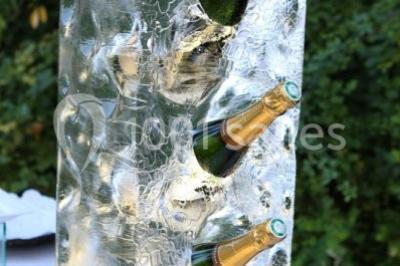 Location salle Coye-la-Forêt (Oise) - Château De La Reine Blanche #24