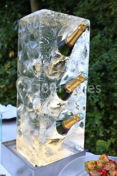 Location salle Coye-la-Forêt (Oise) - Château De La Reine Blanche #20