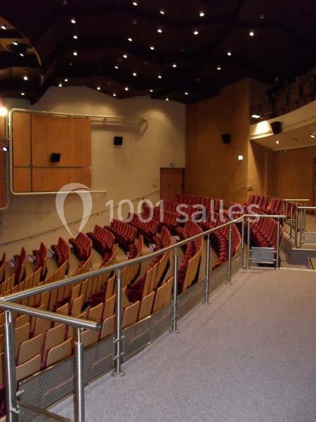 Location salle Issy-les-Moulineaux (Hauts-de-Seine) - Auditorium Niedermeyer #6