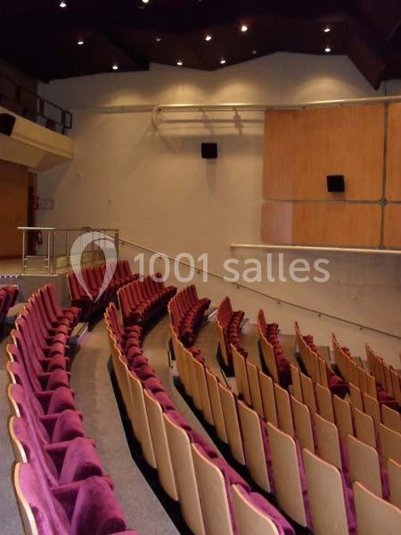 Location salle Issy-les-Moulineaux (Hauts-de-Seine) - Auditorium Niedermeyer #5