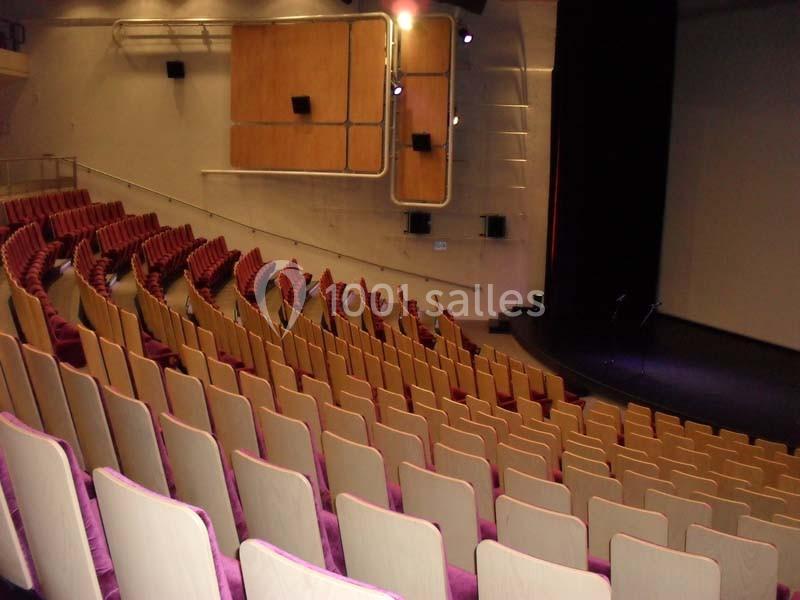 Location salle Issy-les-Moulineaux (Hauts-de-Seine) - Auditorium Niedermeyer #9
