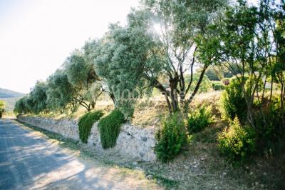 Location salle Ceyras (Hérault) - Le Mas Des Oliviers #24