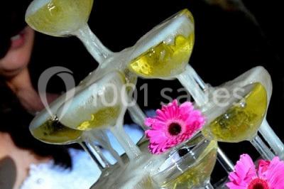 Location salle Ceyras (Hérault) - Le Mas Des Oliviers #24